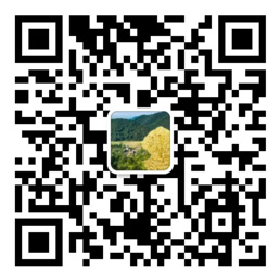 百姓彩票网地址